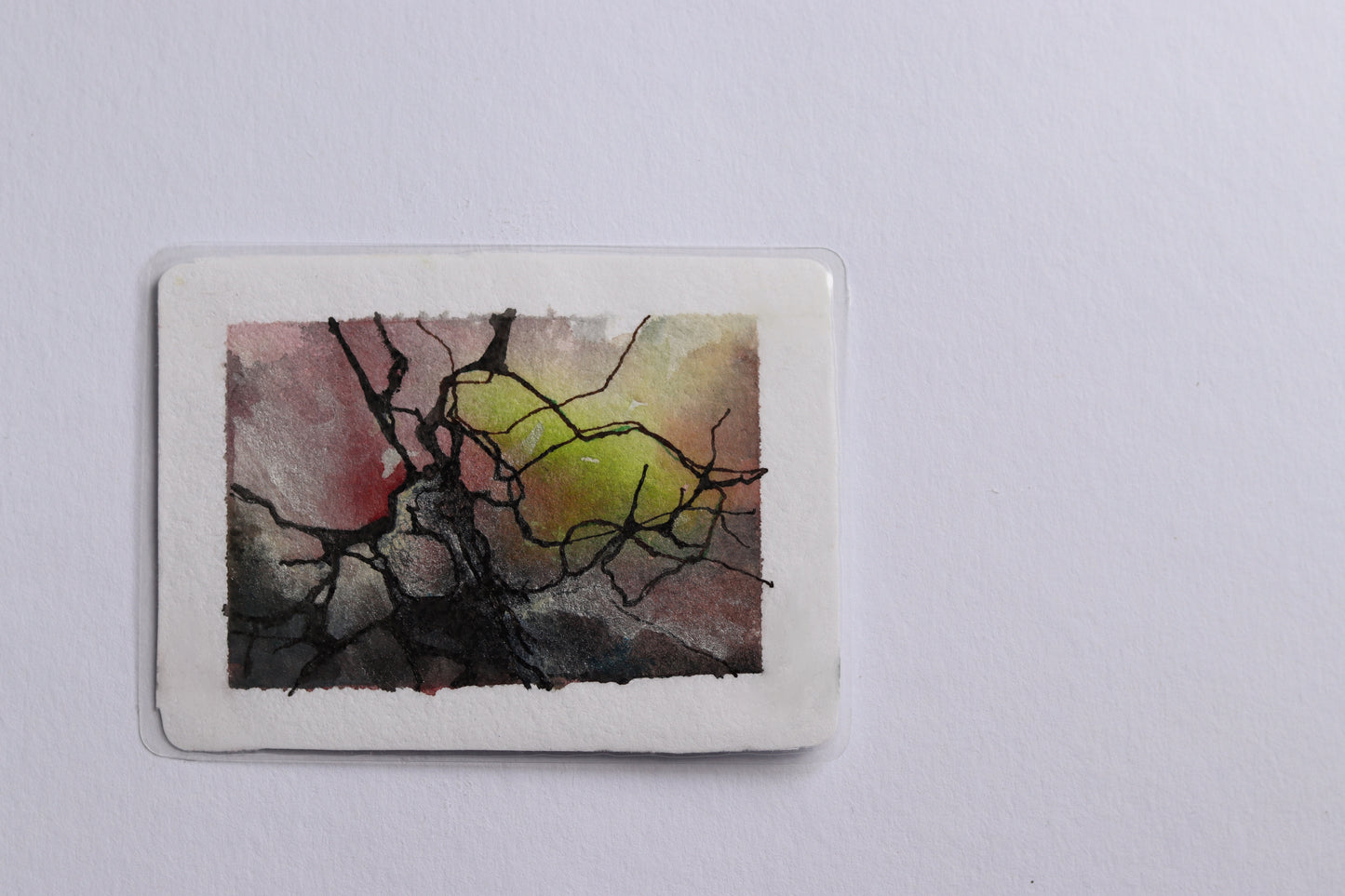 Root and Tree